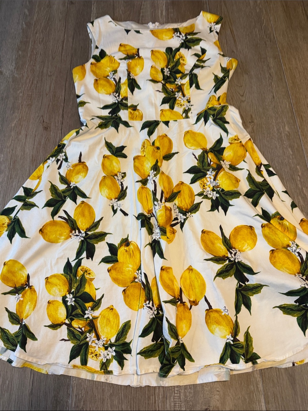Gardenwed Lemon Print Fit & Flare Dress